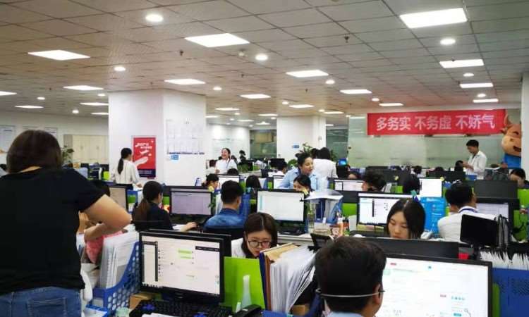 重慶憨牛教育信息咨詢 助力學(xué)子實現(xiàn)夢想的專業(yè)導(dǎo)航