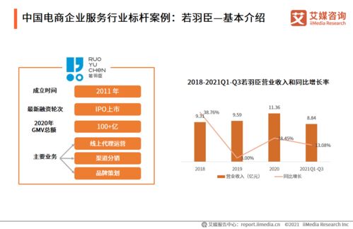2021年中國(guó)電商領(lǐng)域信息技術(shù)咨詢服務(wù)行業(yè)洞察 機(jī)遇、挑戰(zhàn)與未來(lái)趨勢(shì)